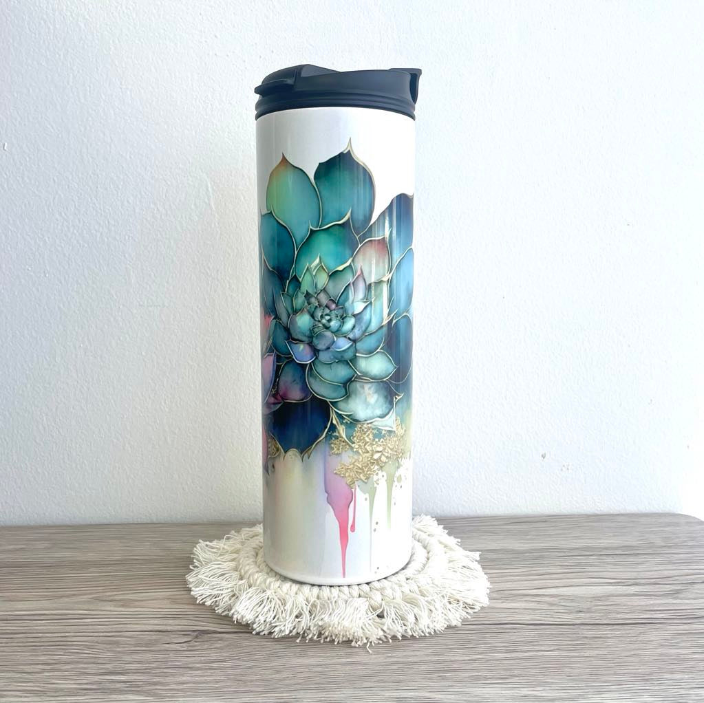 Succulente multicolore