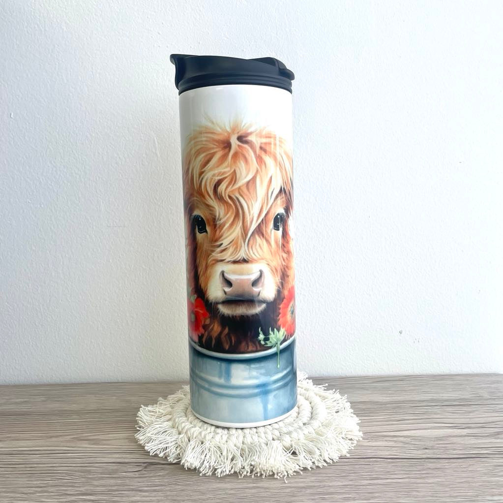 Vache highland