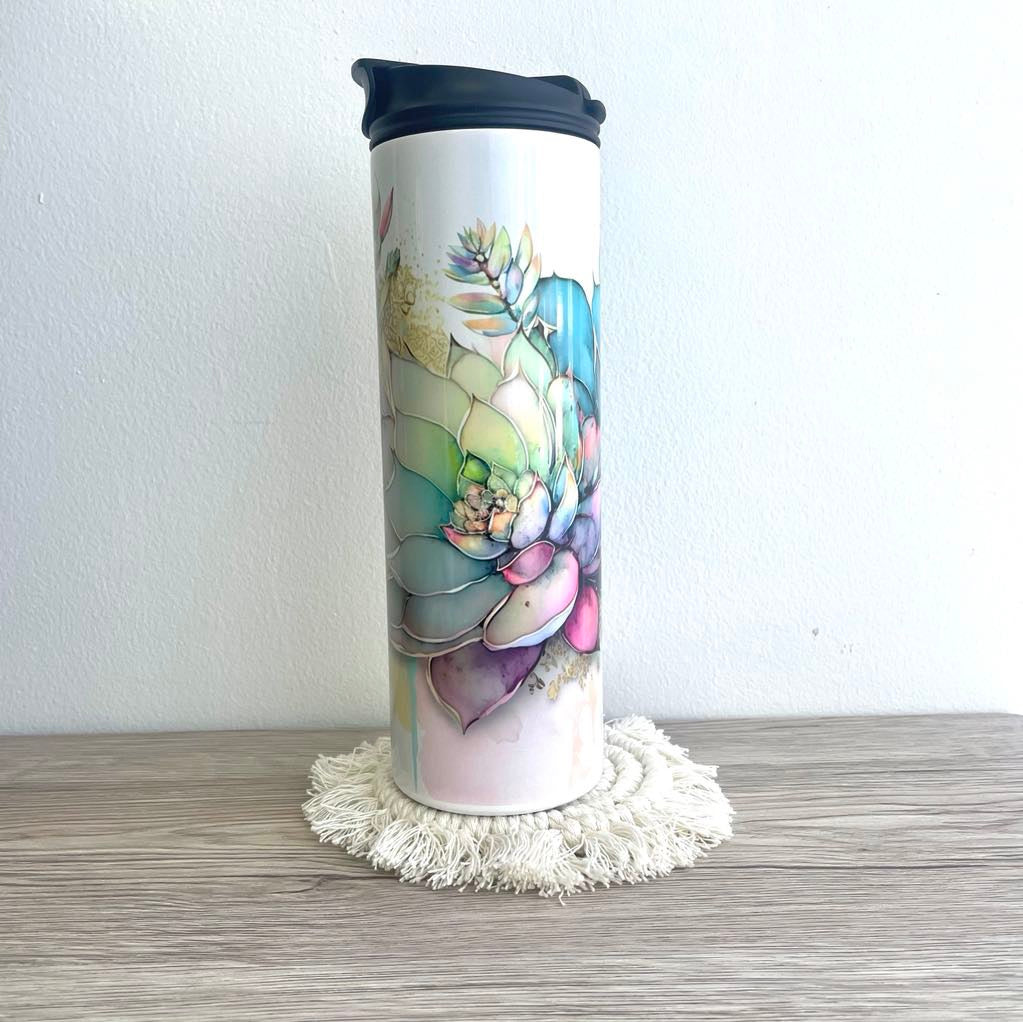 Succulente multicolore