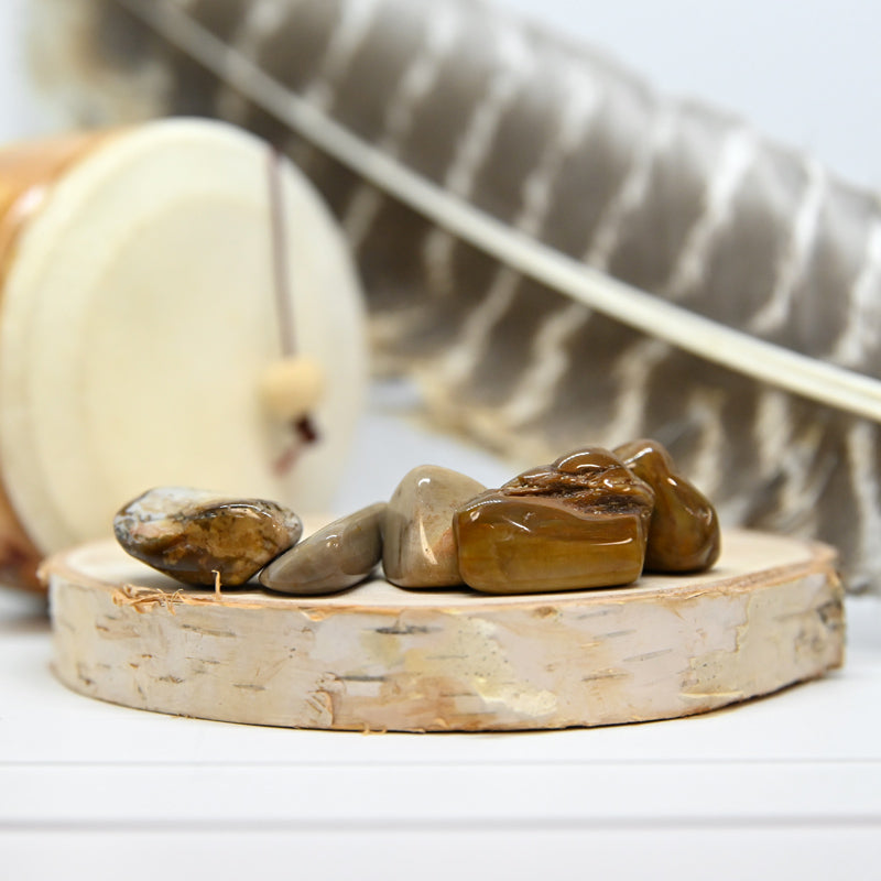 Bois Pétrifié