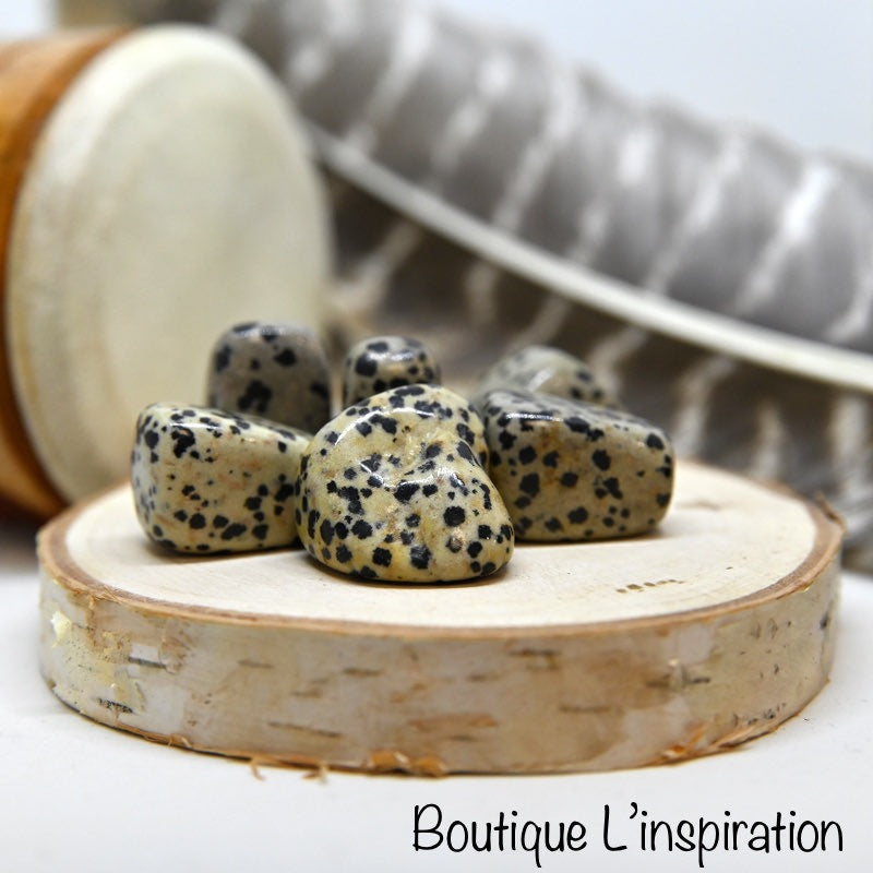 Jaspe dalmatien